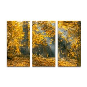 Drieluik canvas zonnestralen in herfstbos
