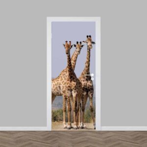 Deursticker starende giraffe