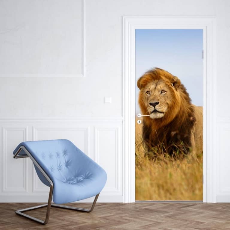 Deursticker Leeuw in Afrika 1