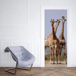 Deursticker starende giraffe