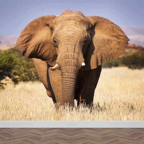 fotobehang olifant close-up