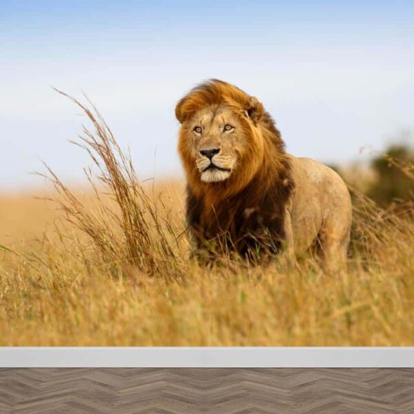 Fotobehang leeuw in Afrika