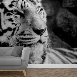 Fotobehang tijger zwartwit