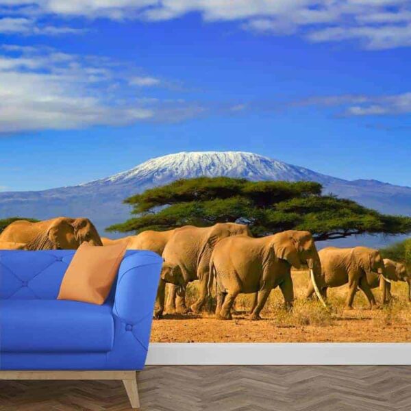 fotobehang olifanten bij de kilimanjaro