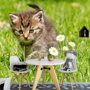 Fotobehang Kitten op onderzoek