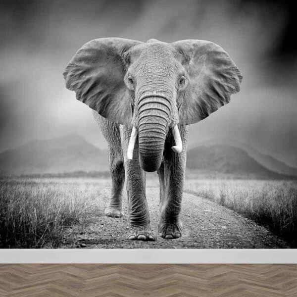 Fotobehang olifant zwartwit