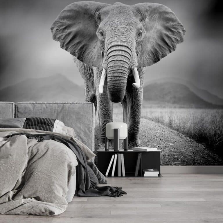 Fotobehang Olifant zwart wit