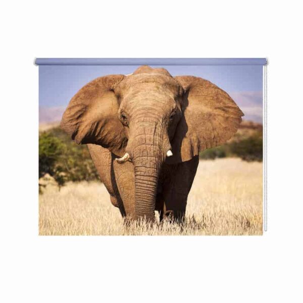 Rolgordijn olifant close up