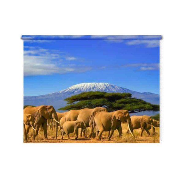 Rolgordijn olifanten bij kilimanjaro