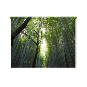 Rolgordijn In het bamboe bos
