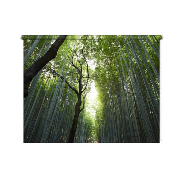 Rolgordijn In het bamboe bos