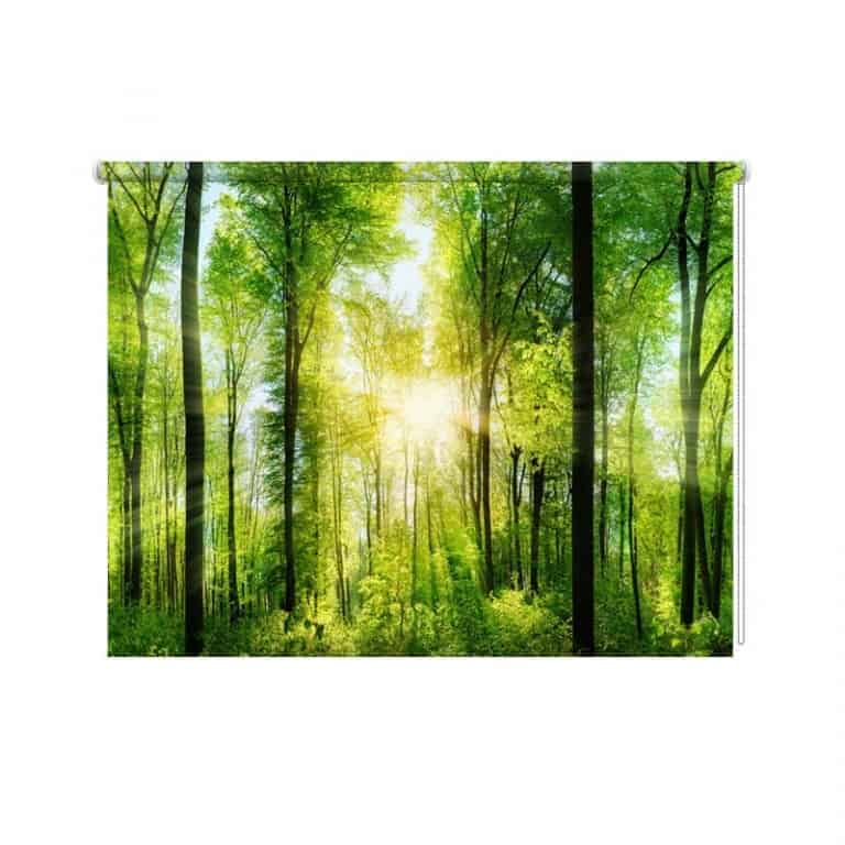 Rolgordijn Zon in bos