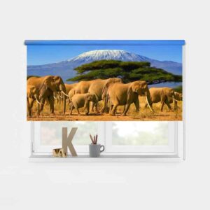 Rolgordijn olifanten bij kilimanjaro