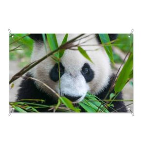 Tuinposter schattige panda