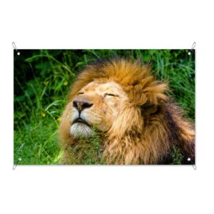 Tuinposter Relaxte leeuw