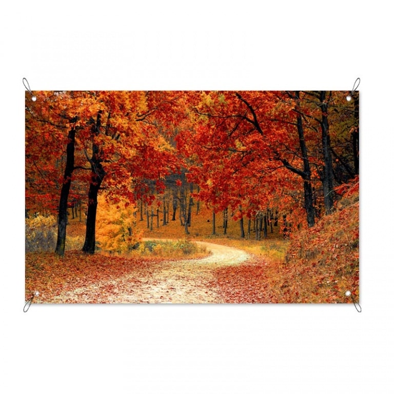 Tuinposter herfst in het bos