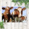 Tuinposter Hollandse koeien