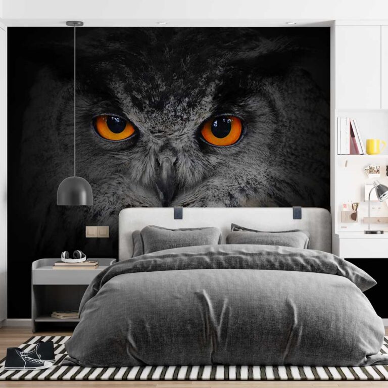 Fotobehang uil - uil behang