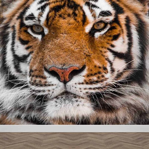 Fotobehang tijger close up