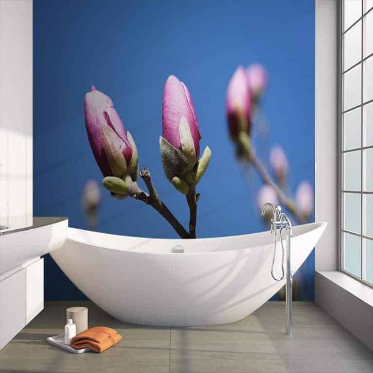 Fotobehang magnolia in knop