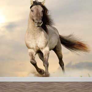 Fotobehang rennend paard