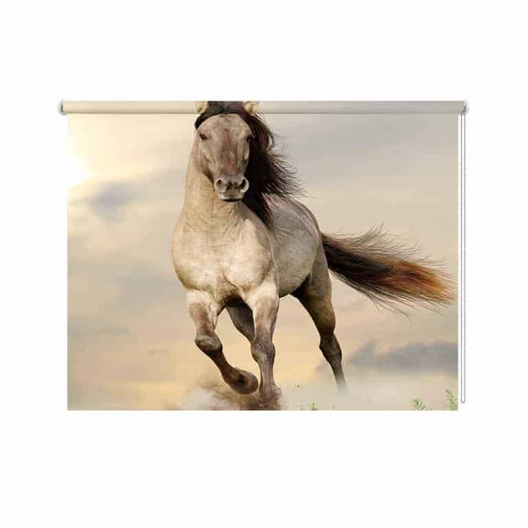 Rolgordijn rennend paard