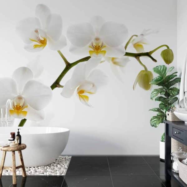 Badkamer behang Witte orchidee