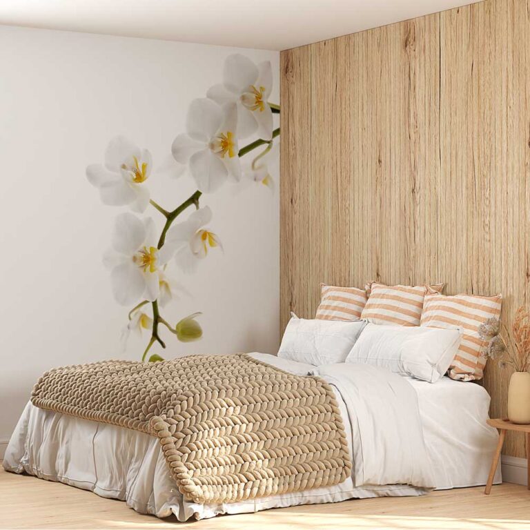 Fotobehang Witte orchidee