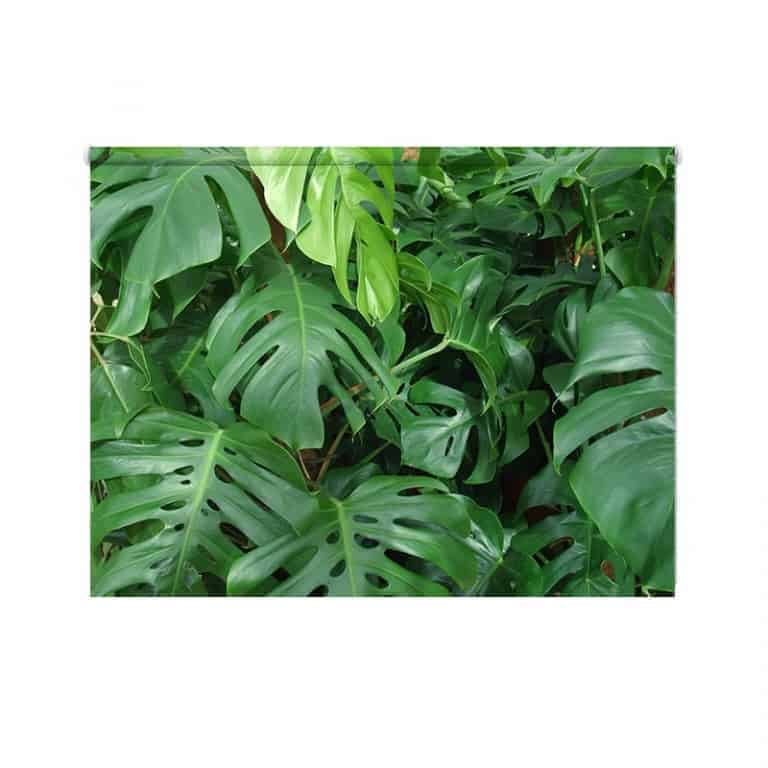 Rolgordijn groene planten