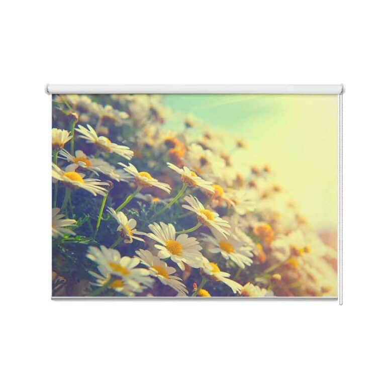 rolgordijn vintage margrieten
