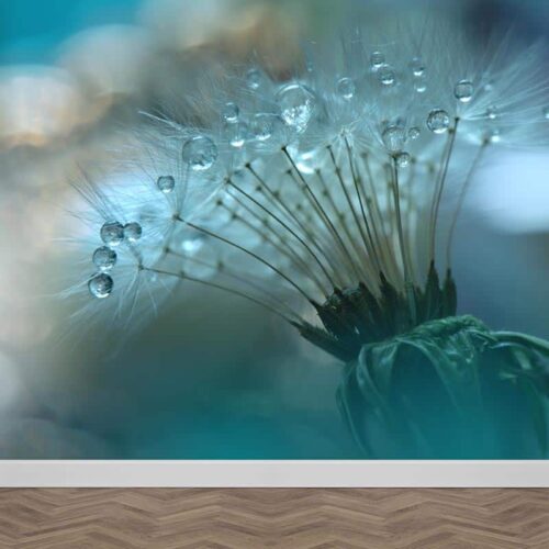 Fotobehang dandelion met waterdruppels