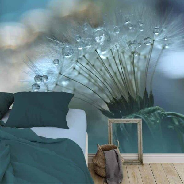 Fotobehang dandelion met waterdruppels