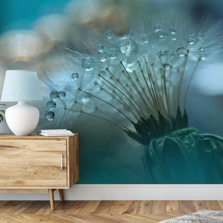 Fotobehang dandelion met waterdruppels