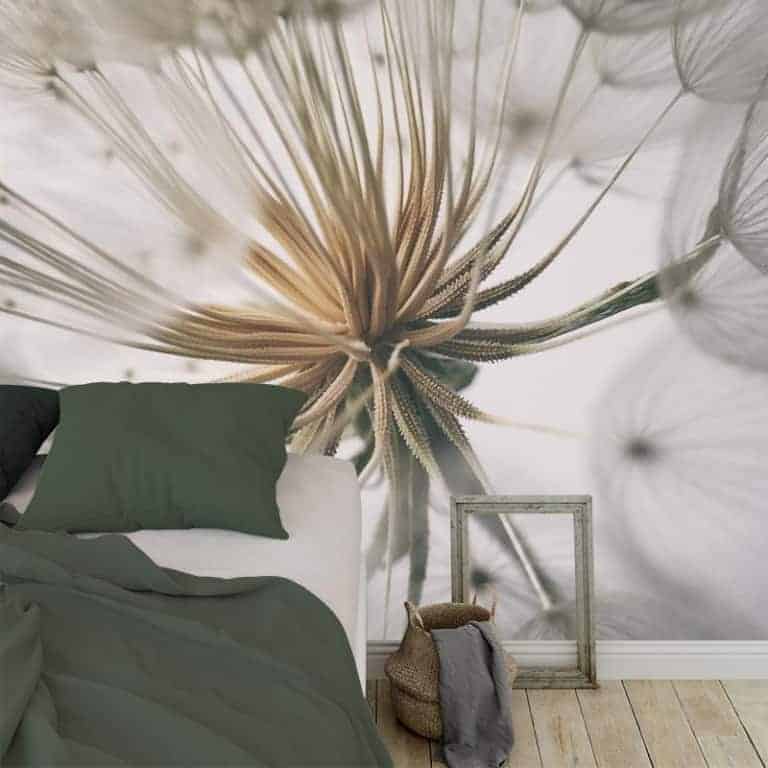 Fotobehang dandelion wit grijs
