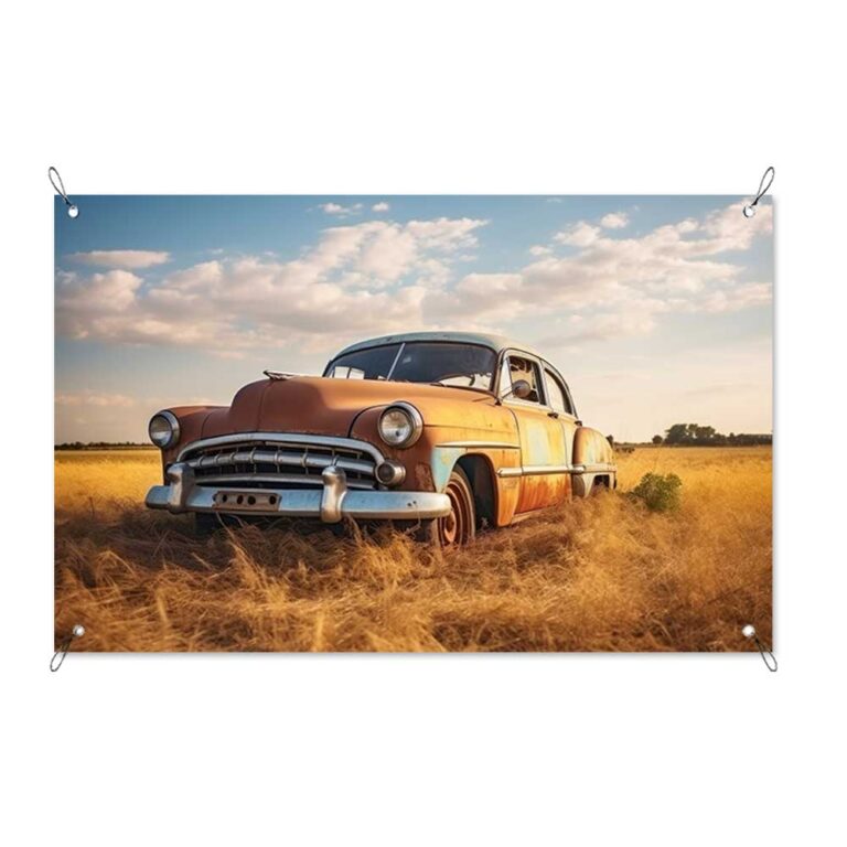 Tuinposter vintage auto in grasland