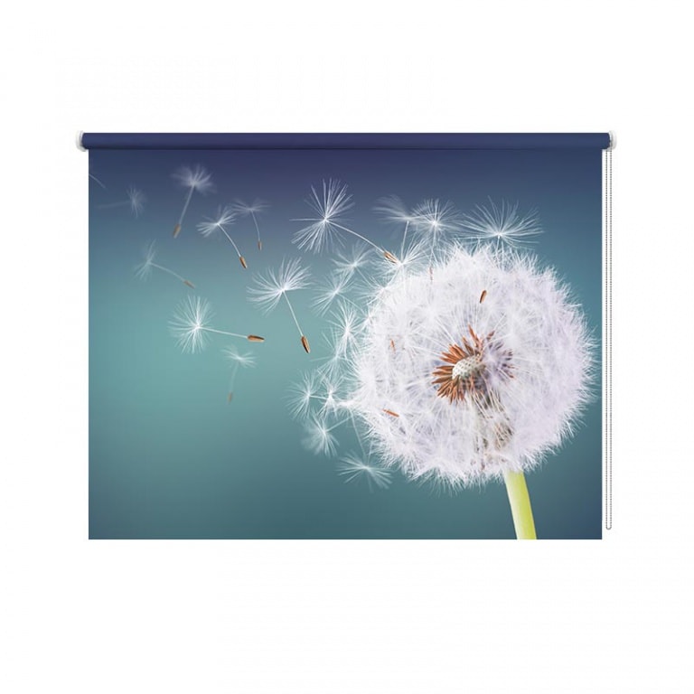 rolgordijn Paardenbloem in de wind