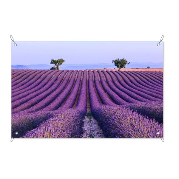 Tuinposter Lavendelveld