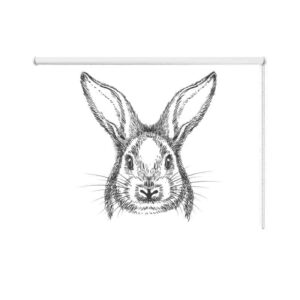 Rolgordijn getekend konijn