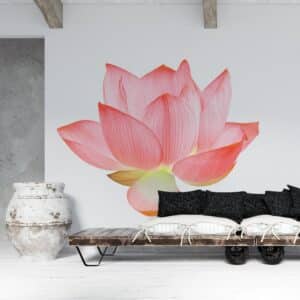 Fotobehang Lotus bloem