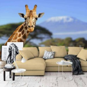Fotobehang Giraffe voor Kilimanjaro