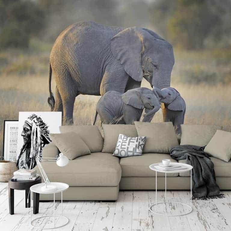 Fotobehang Olifanten familie