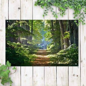 Tuinposter Boswandeling ini de ochtend
