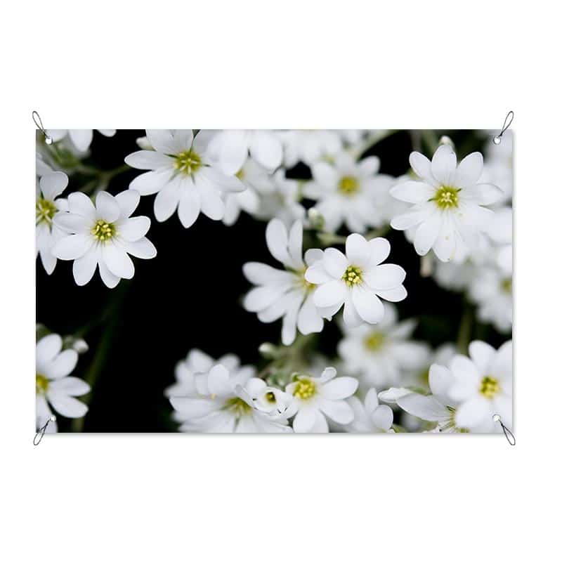 Tuinposter Witte bloemen Speciaal voor jou op gemaakt! YouPri.nl