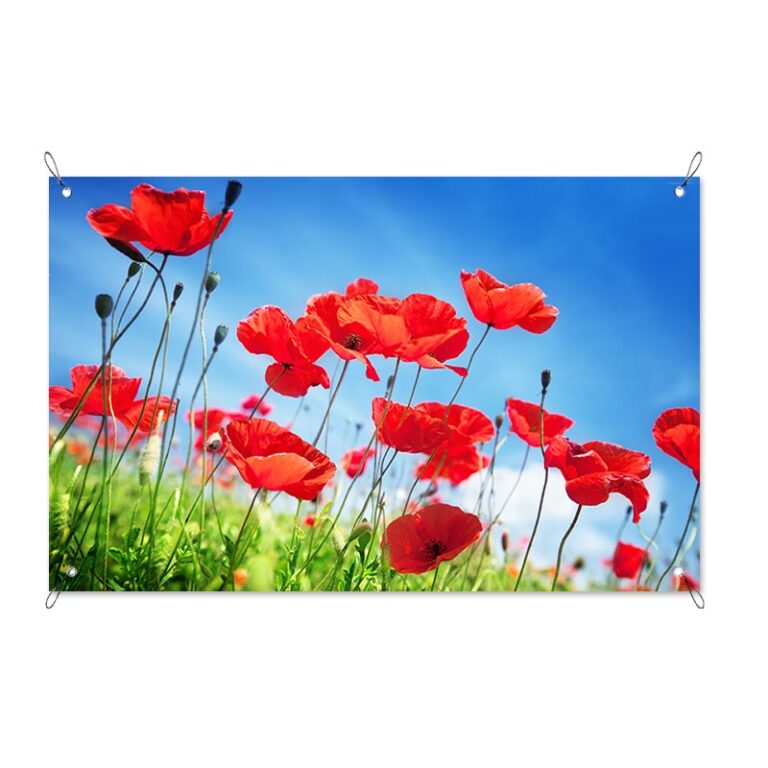 Tuinposter papaverveld