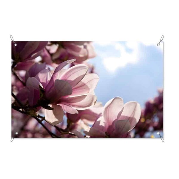 tuinposter Magnolia