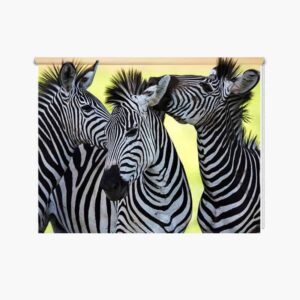 Rolgordijn drie knuffelende zebra's