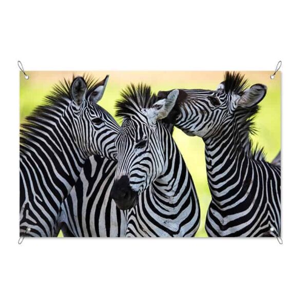 Tuinposter Drie knuffelende zebra's
