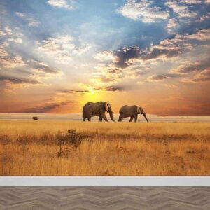 Fotobehang olifanten aan de wandel