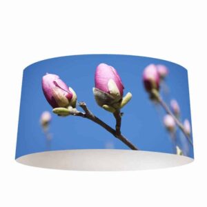 Lampenkap magnolia in knop
