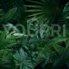 Fotobehang Groene jungle bladeren